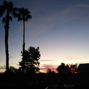 Meet your Posher, Oakley